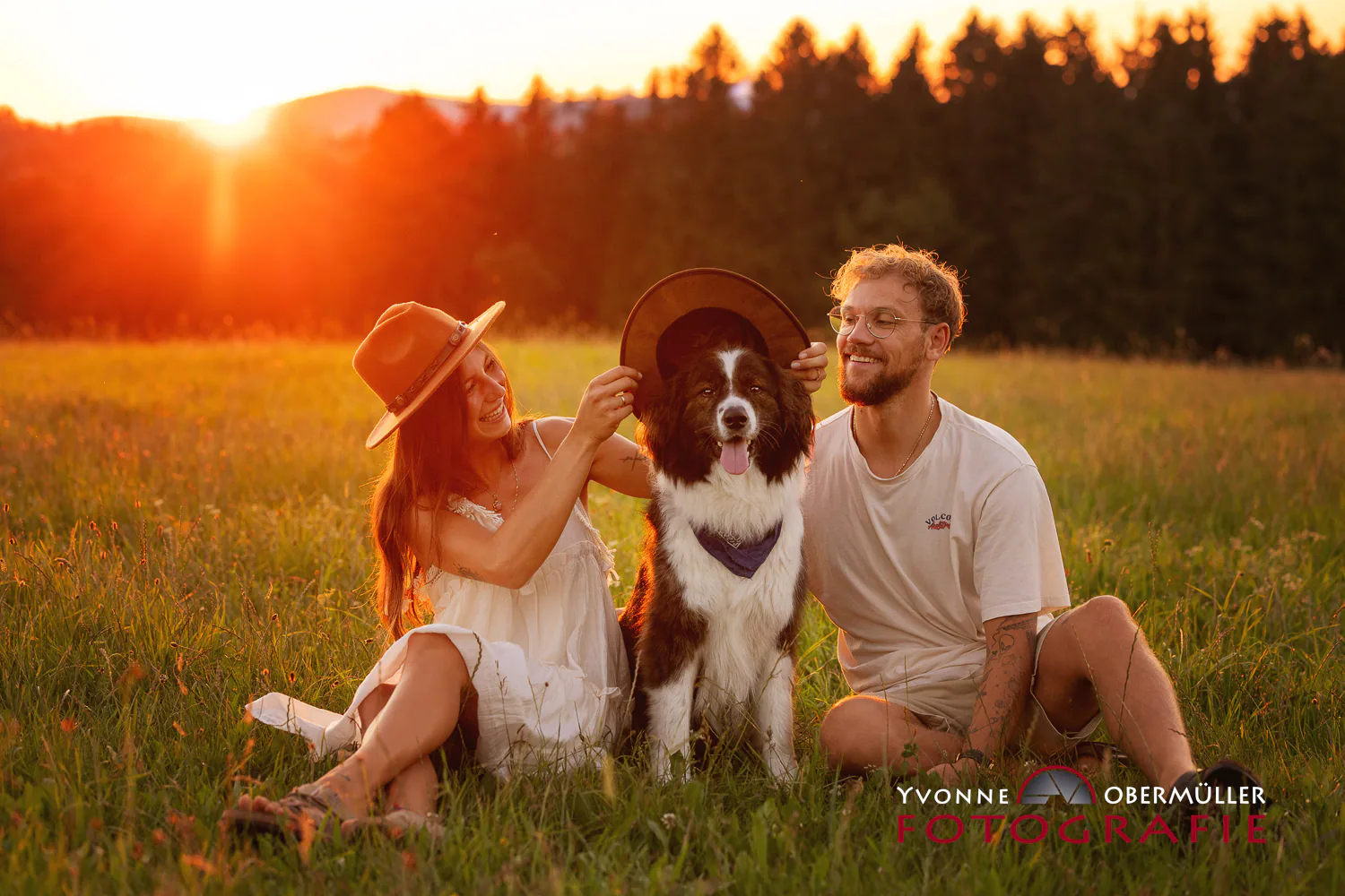 Paar und Hund sitzen ausgelassen im goldenen Abendlicht