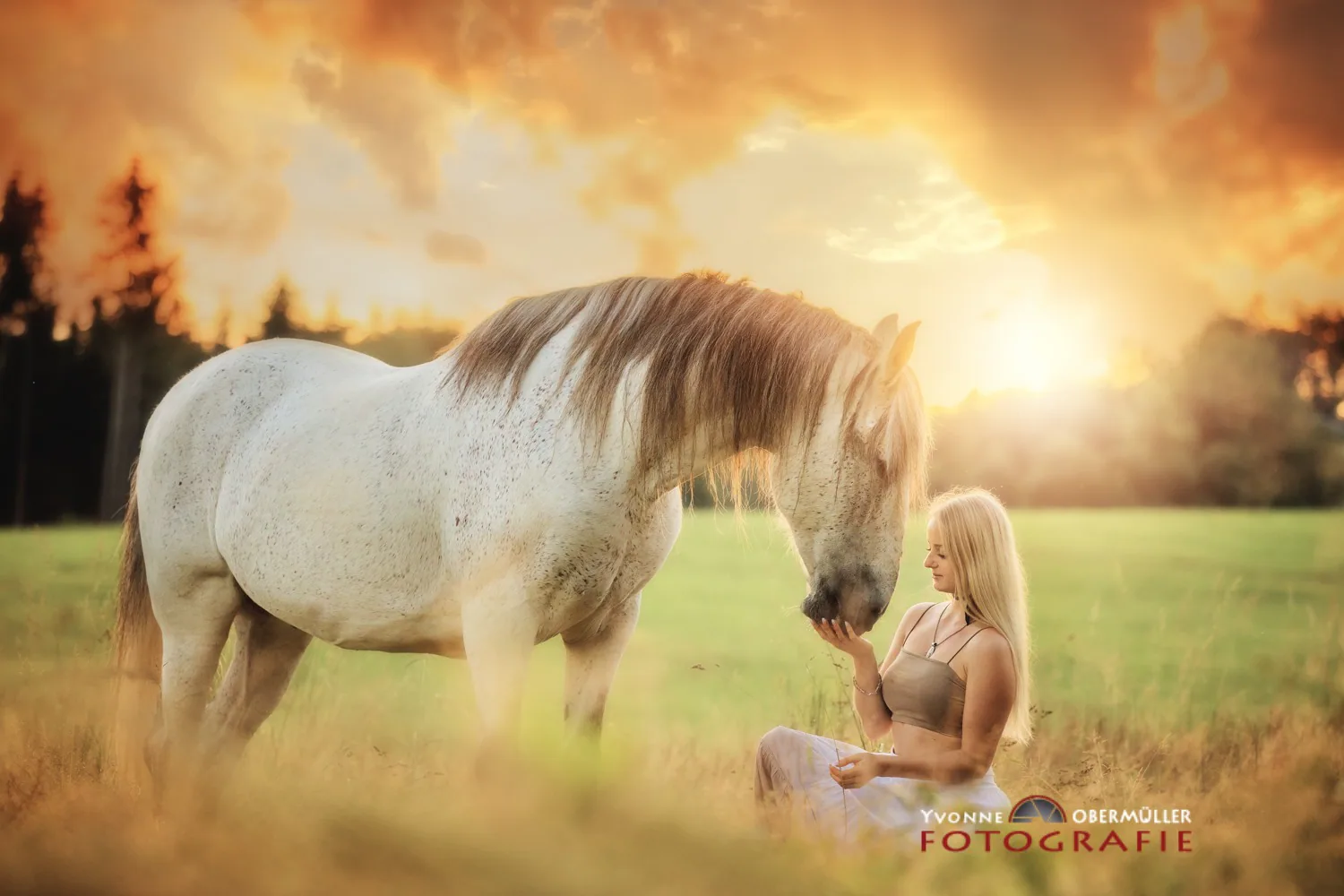 Frau und weißes Pferd im warmen Licht des Sonnenuntergangs